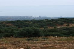 mani, koroni, petalidi, pylos, stoupa, finikounda, chrani, kalamata, Kardamyli, house, land, villa, stone house, stone villa, commercial, for sale, to rent, apartments, flats, property valuation, Costa Navarino
