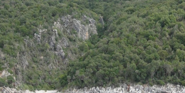 DSC00020